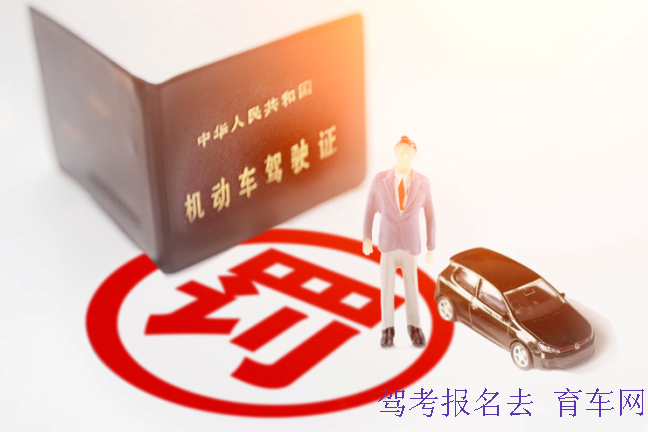 育车网驾考4.png